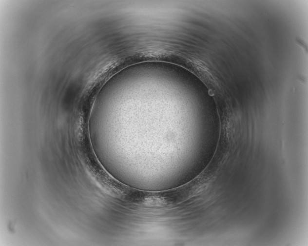 X0000100910591200807011245