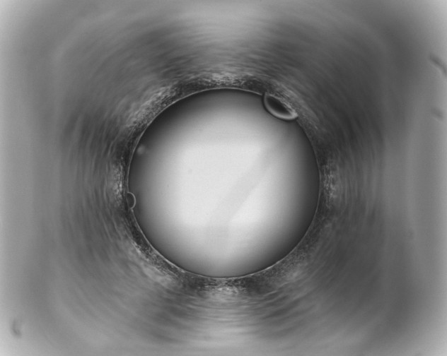 X0000100910593200807011245