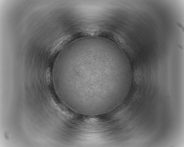 X0000100910594200807011245