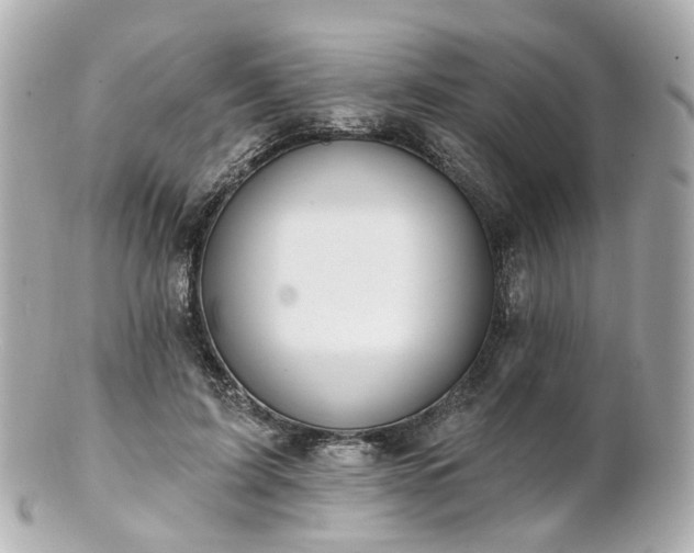 X0000100910595200807011245