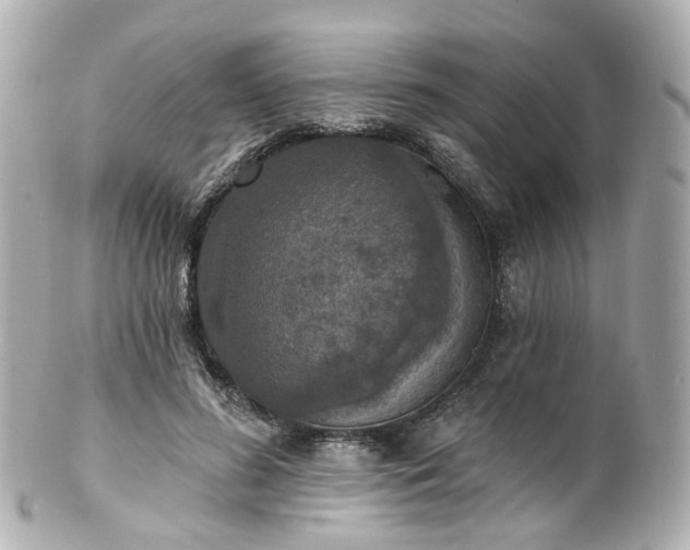 X0000100910596200807011245