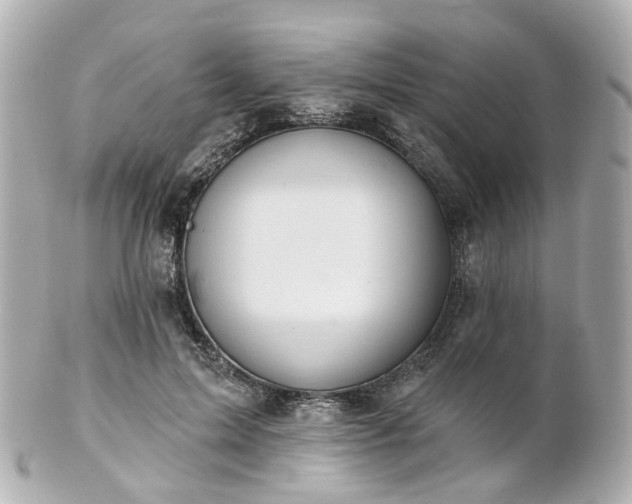 X0000100910599200807011245