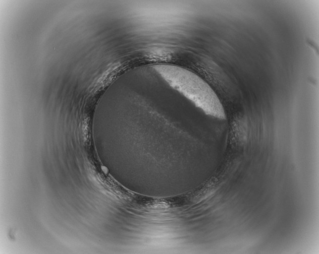 X0000100910600200807011245