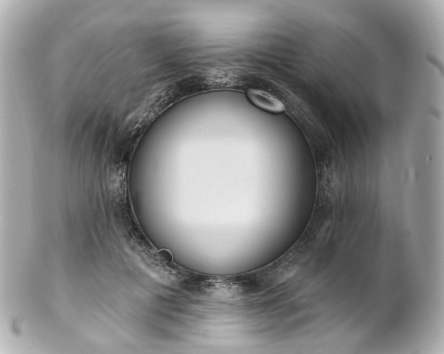 X0000100910601200807011245