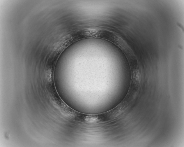X0000100910602200807011245