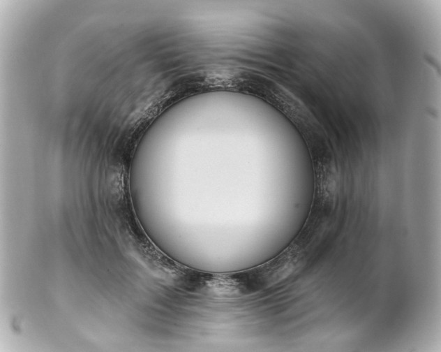 X0000100910603200807011245