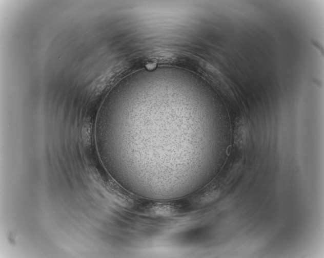 X0000100910604200807011245