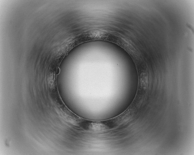 X0000100910605200807011245