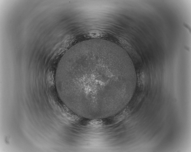 X0000100910606200807011245