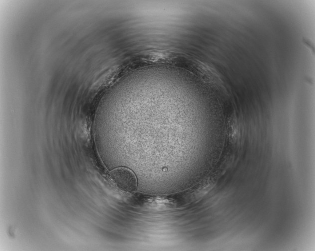 X0000100910607200807011245