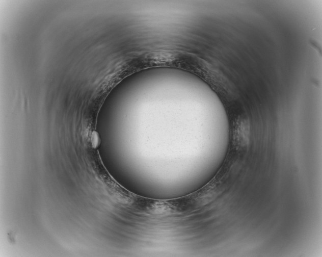 X0000100910608200807011245