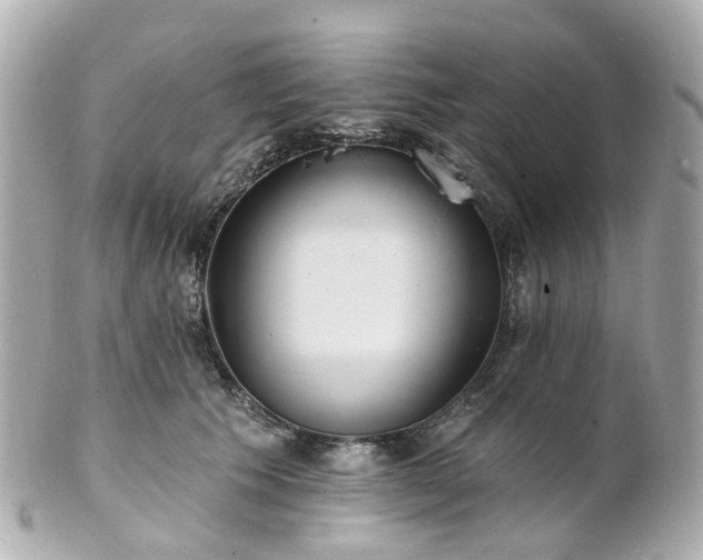 X0000100910609200807011245