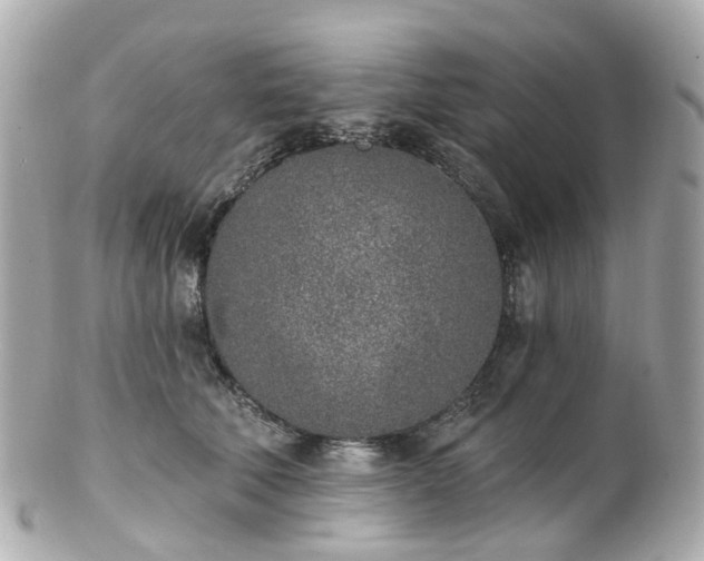 X0000100910610200807011245