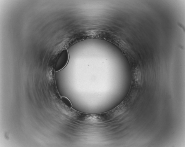 X0000100910611200807011245