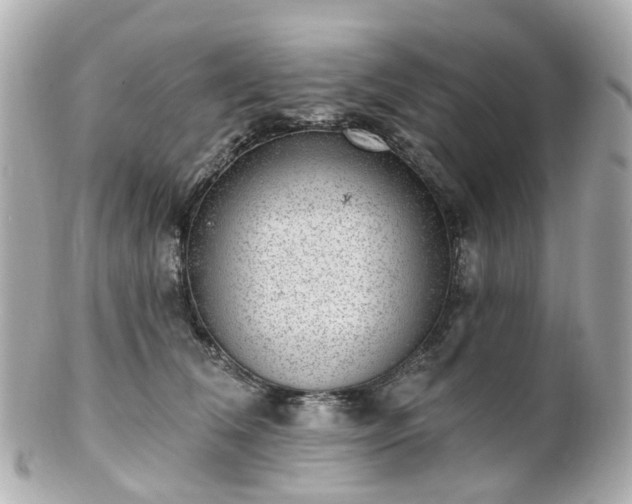 X0000100910612200807011245