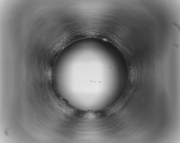 X0000100910613200807011245
