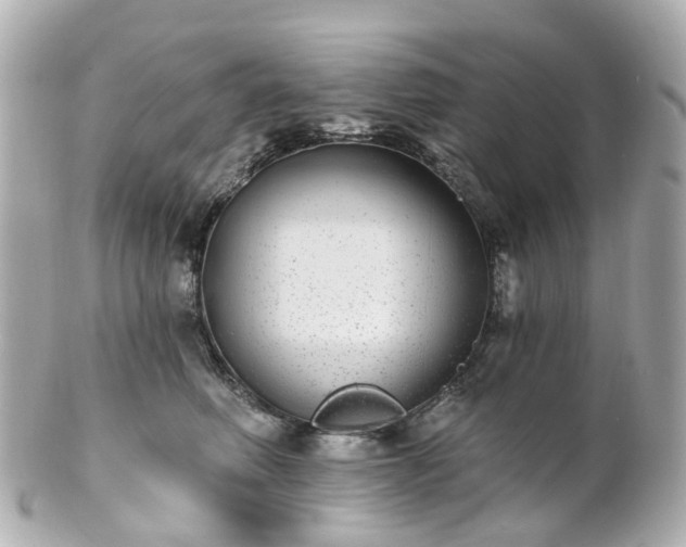 X0000100910614200807011245