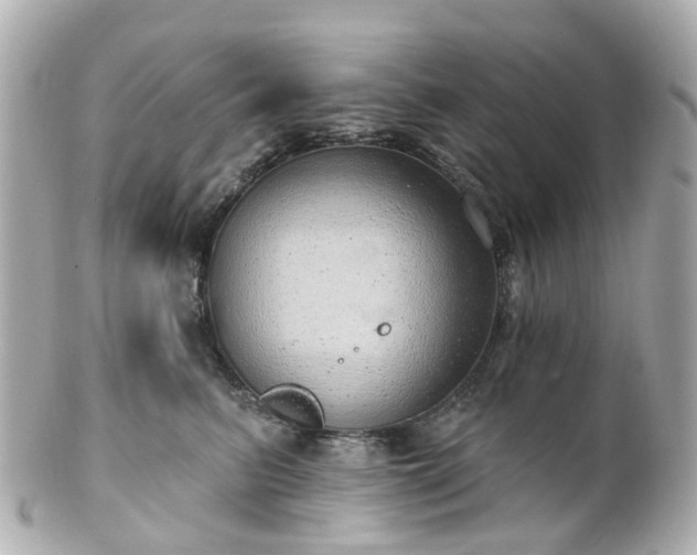 X0000100910615200807011245