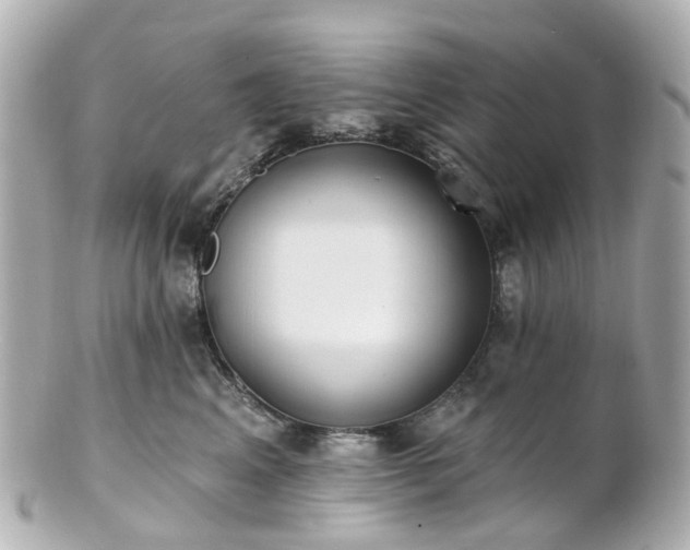 X0000100910617200807011245