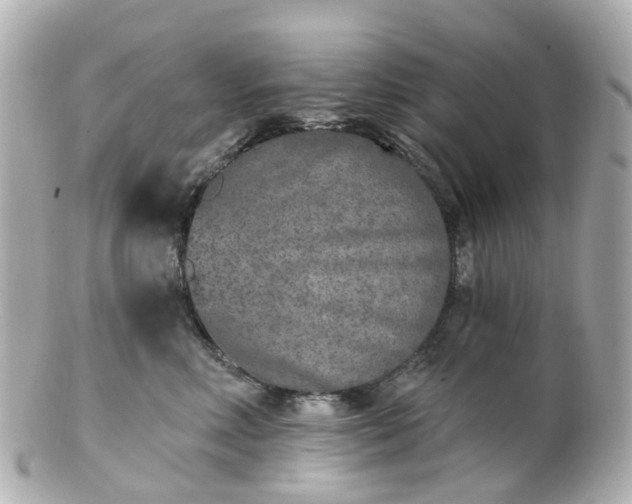 X0000100910618200807011245