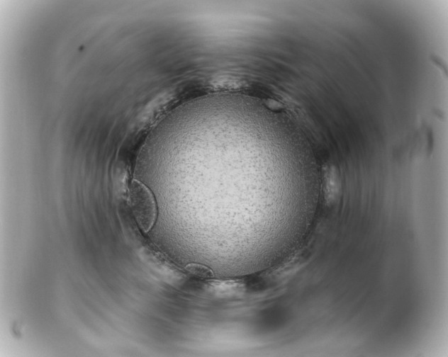 X0000100910619200807011245