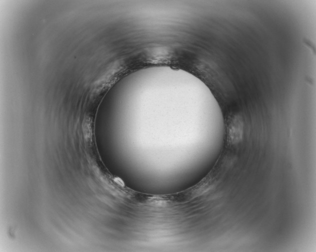 X0000100910620200807011245
