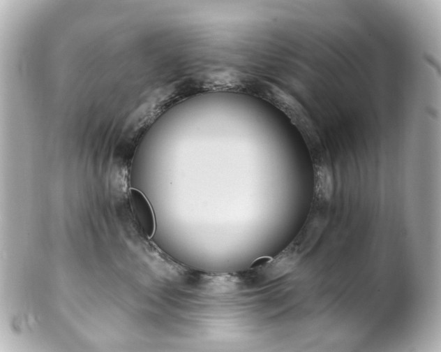 X0000100910621200807011245