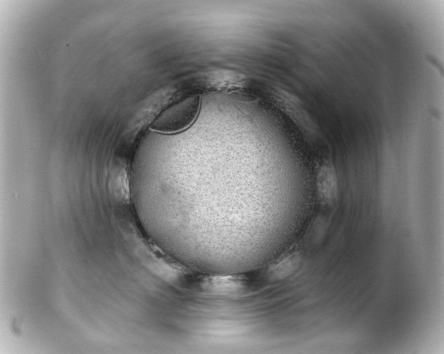 X0000100910622200807011245