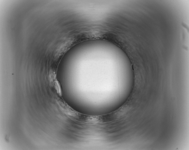 X0000100910624200807011245