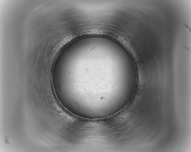 X0000100910625200807011244