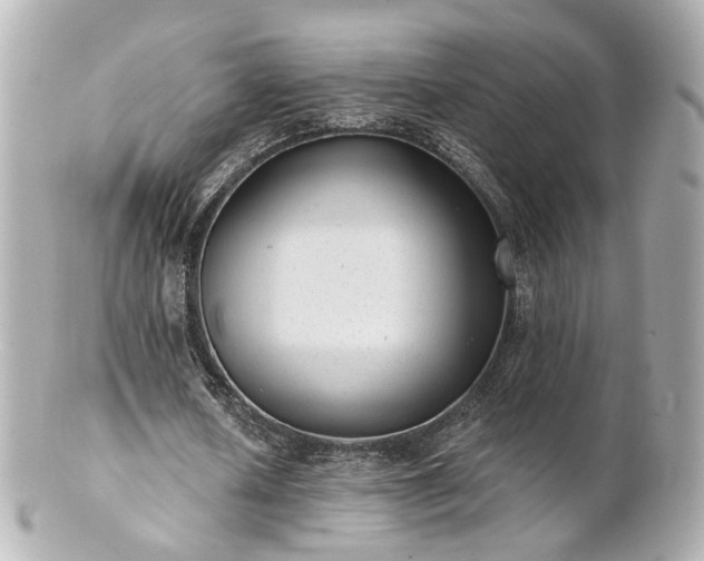 X0000100910626200807011244
