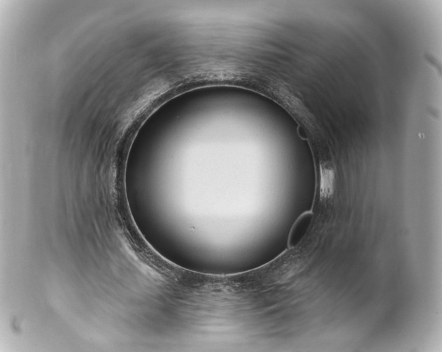 X0000100910627200807011244