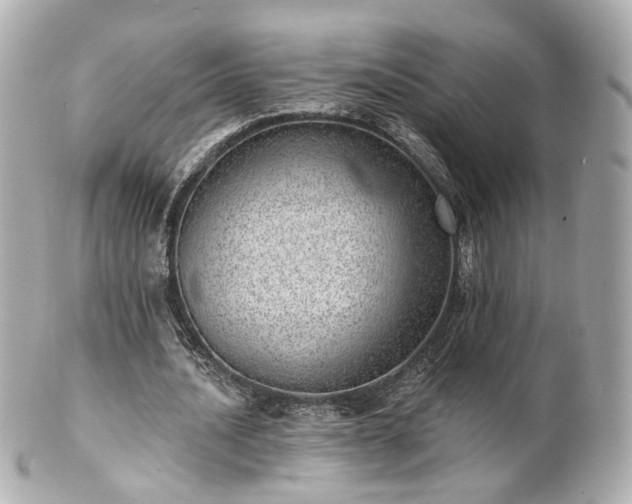 X0000100910628200807011244