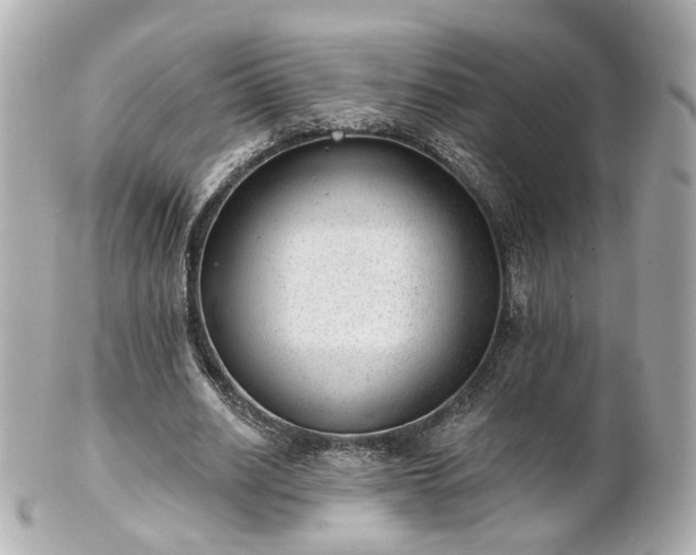X0000100910630200807011244