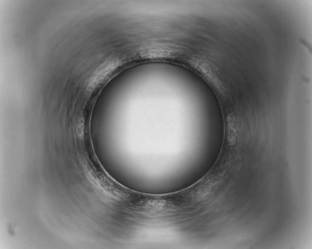X0000100910631200807011244
