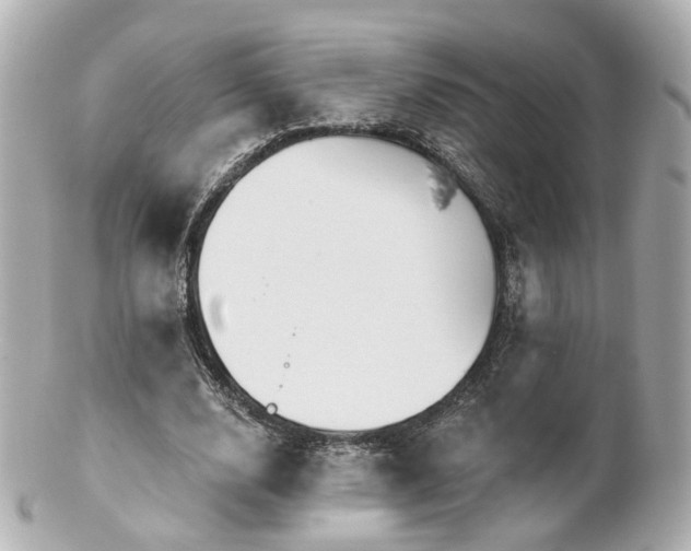 X0000100910632200807011244