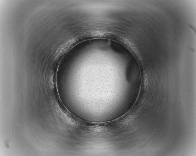 X0000100910633200807011244
