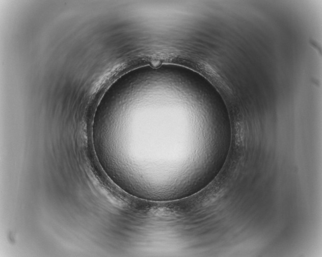 X0000100910634200807011244