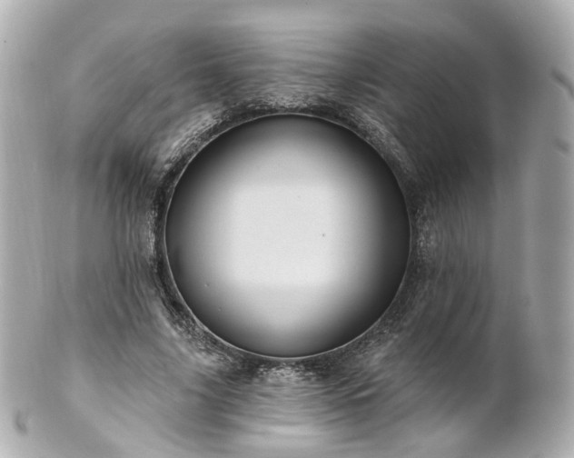 X0000100910635200807011244