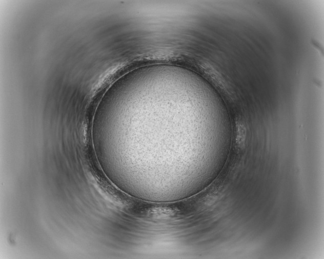 X0000100910636200807011244