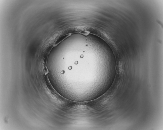 X0000100910637200807011244