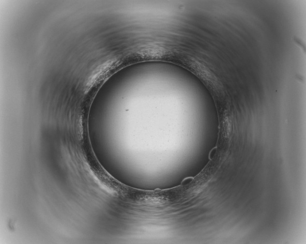 X0000100910638200807011244