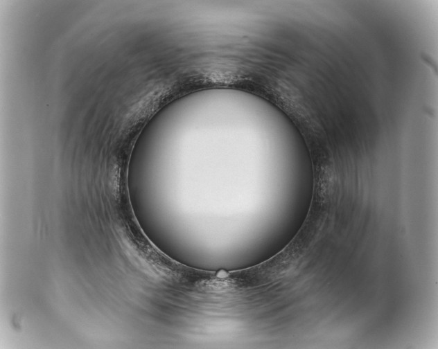 X0000100910639200807011244