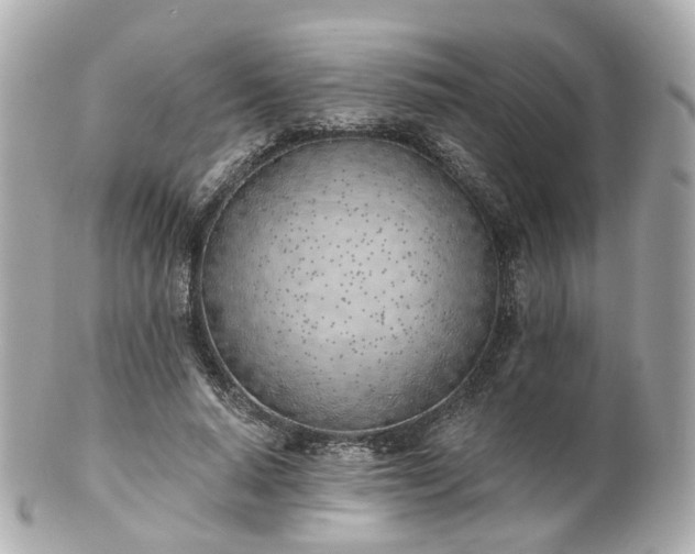 X0000100910640200807011244