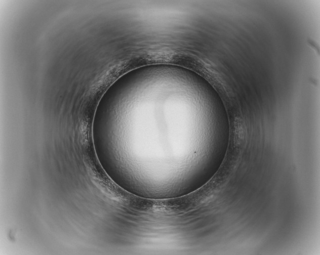 X0000100910641200807011244