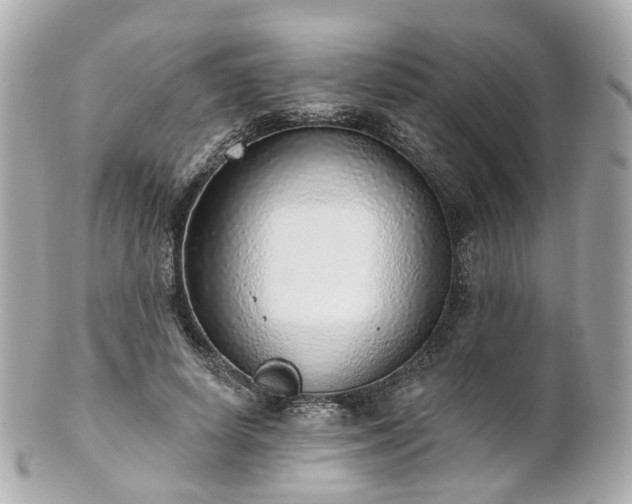 X0000100910642200807011244