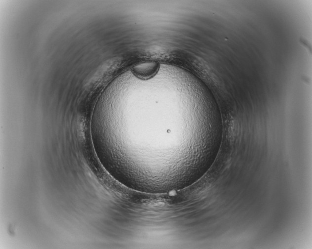 X0000100910643200807011244
