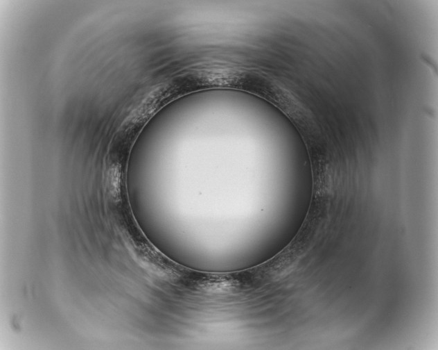 X0000100910646200807011244