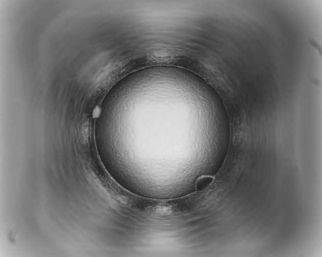 X0000100910647200807011244