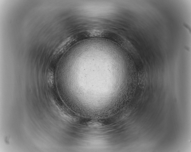 X0000100910648200807011244